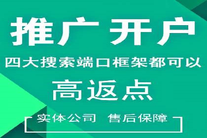 成功案例解析：SEM竞价托管运营策略